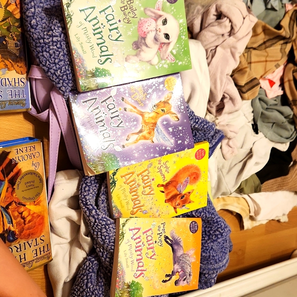 4 fairy animal books 📚